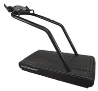 Woodway Desmo Treadmill