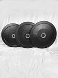 View of Rubber Bumper Plates